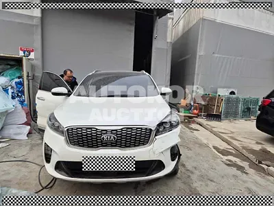 2018, Kia / Sorento, VIN: KNAPG81ABKA480166, 63119 км., diesel, 1995 куб.см.