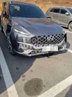 2020, Hyundai / Santa FE, VIN: KMHS581HGMU341212, 20000 км., diesel