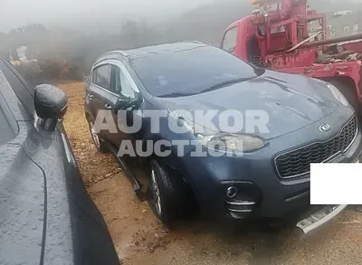 2018, Kia / Sportage, VIN: KNAPM813BJK404012, diesel