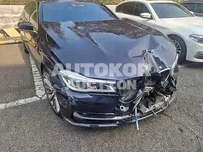 2017, BMW / 750, VIN: WBA7F2106HG713721, gas