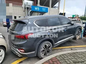 2020, Hyundai / Santa FE, VIN: KMHS281BBLU300829, 30000 км., diesel