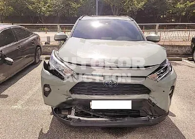 2019, Toyota / RAV4, VIN: JTMW2RFV7KD022648, hybrid
