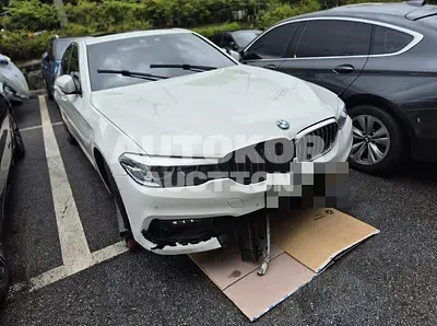 2019, BMW / 520, VIN: WBAJK9104LCD23889, 73229 км., gas