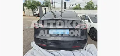 2024, Tesla / Model Y, VIN: LRWYGCEK4RC699975, 19155 км., electric, 230 куб.см.
