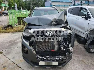 2019, Hyundai / Santa FE, 54175 км., diesel, 2200 куб.см.