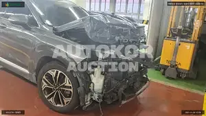 2019, Hyundai / Santa FE, VIN: KMHS281BBLU233832, diesel