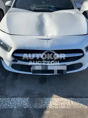 2019, Mercedes-Benz / A 220, 36601 км., gas