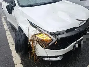 2022, Kia / Sportage, VIN: KNAPV81BHPK111246, 32412 км., gas