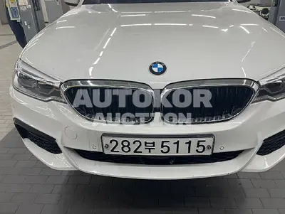 2020, BMW / 530, VIN: WBAJR5106LCE09242, 41030 км., gas