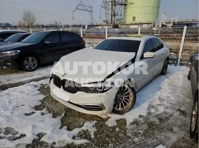 2019, BMW / 520, VIN: WBAJK7108KGL29042, 17722 км., gas