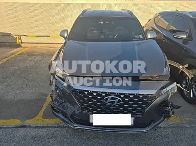 2019, Hyundai / Santa FE, VIN: KMHS581BBKU154086, 110527 км., gas, 2000 куб.см.