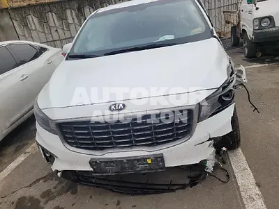2019, Kia / Carnival, VIN: KNAMB81ABKS592317, diesel