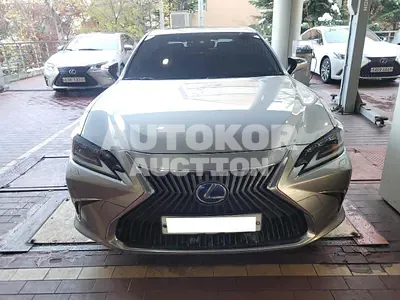 2020, Lexus / ES 300, VIN: JTHB21B16L2089448, hybrid