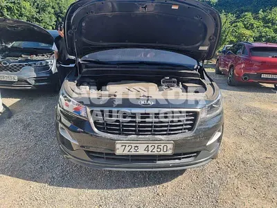 2019, Kia / Carnival, VIN: KNHMF37ABKS585122, diesel