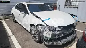 2019, Lexus / ES 300, VIN: JTHB21B13K2022059, hybrid