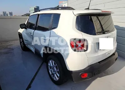 2019, Jeep / Renegade, VIN: 1C4BU0000KPK58476, gas