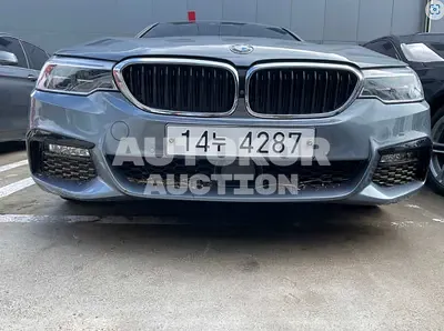 2018, BMW / 530, VIN: WBAJD9109JWC84089, 48633 км., gas