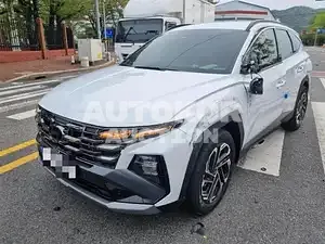 2024, Hyundai / Tucson, 300 км., gas, 1600 куб.см.