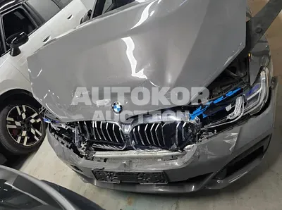 2021, BMW / 530, 142897 км., hybrid, 1998 куб.см.