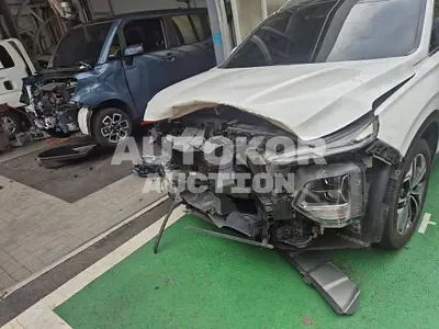 2019, Hyundai / Santa FE, VIN: KMHS281CDLU192224, 125779 км., diesel