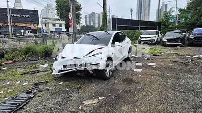 2021, Tesla / Model Y, VIN: 5YJYGDEE8MF169040, electric