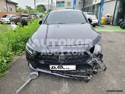 2019, Mercedes-Benz / CLS 400, VIN: WDD2J2DB0KA046282, 40000 км., diesel
