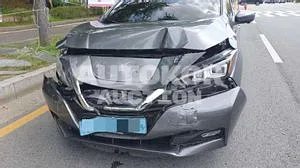 2019, Nissan / Leaf, VIN: 1N4AZ1CP2KC307511, electric, 115 куб.см.