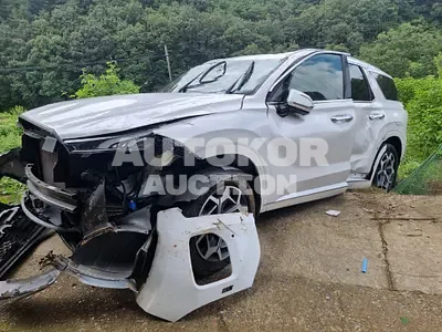 2020, Hyundai / Palisade, VIN: KMHR581EBMU264892, 30000 км., gas, 3800 куб.см.