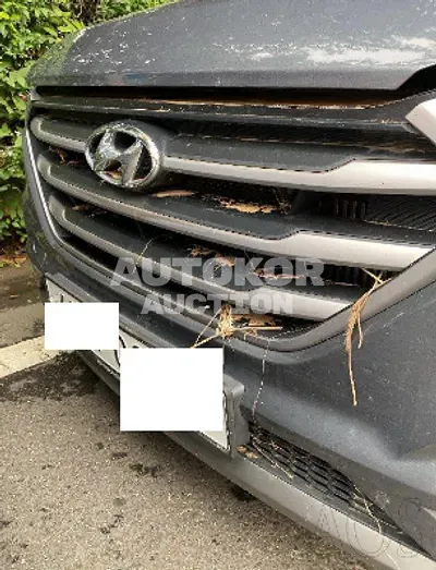 2017, Hyundai / Tucson, VIN: KMHJ381ABHU305629, diesel