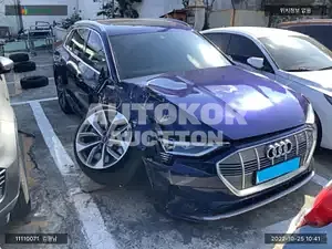 2021, Audi / e-tron, VIN: WEUZZZGE8LB039864, 9978 км., electric