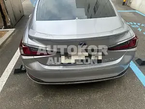 2021, Lexus / ES 300, VIN: JTHBA1C14N2007480, 44518 км., hybrid
