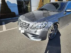 2018, Mercedes-Benz / S 450, unknown
