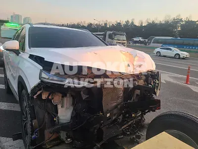 2020, Hyundai / Santa FE, VIN: KMHS381BBLU254272, diesel
