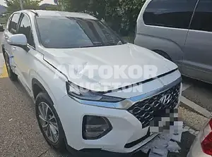 2019, Hyundai / Santa FE, VIN: KMHS281BBLU252014, 58000 км., diesel
