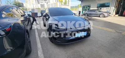 2025, Tesla / Model Y, electric