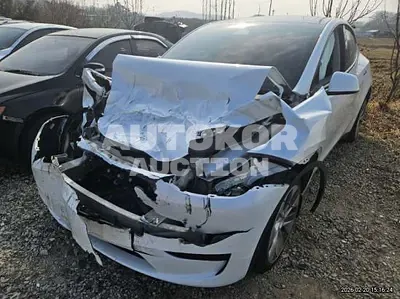 2024, Tesla / Model Y, VIN: LRWYGCFS7RC160121, 63341 км., electric