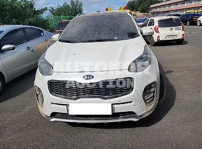 2016, Kia / Sportage, VIN: KNAPR813BGK029516, diesel