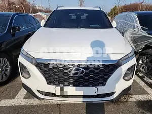 2019, Hyundai / Santa FE, VIN: KMHS381BBKU186096, 117000 км., diesel, 1995 куб.см.