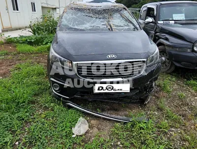 2016, Kia / Carnival, VIN: KNAME81ABGS175758, diesel