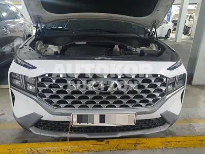 2021, Hyundai / Santa FE, VIN: KMHS281HGMU391135, 153914 км., diesel, 2200 куб.см.