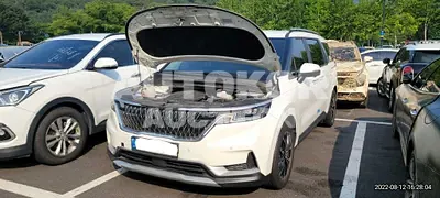 2021, Kia / Carnival, VIN: KNANB81BBMS106877, 20000 км., diesel