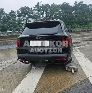 2020, Kia / Sorento, VIN: KNARH81BGMA010820, 30000 км., diesel