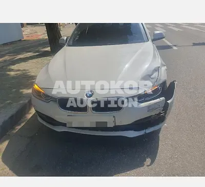 2017, BMW / 320, 94000 км., diesel