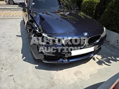 2016, BMW / 320, VIN: WBA8Y7109GG394955, diesel, 1995 куб.см.