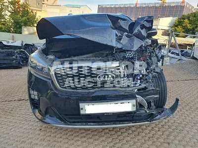 2019, Kia / Sorento, VIN: KNAPK81ABKA541951, diesel