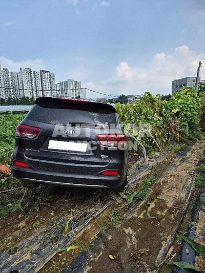 2017, Kia / Sorento, VIN: KNAPK81BDHA355619, diesel