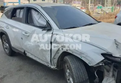 2021, Hyundai / Tucson, VIN: KMHJB81CBMU006444, 87107 км., diesel