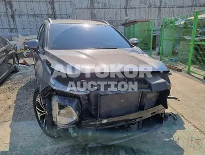 2020, Hyundai / Santa FE, VIN: KMHS281BBLU248522, diesel