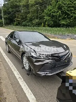 2021, Toyota / Camry, hybrid