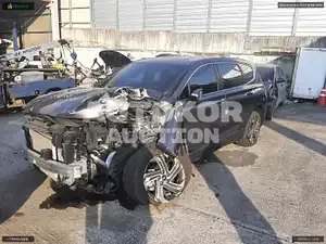 2020, Hyundai / Santa FE, VIN: KMHS281HGMU311064, diesel